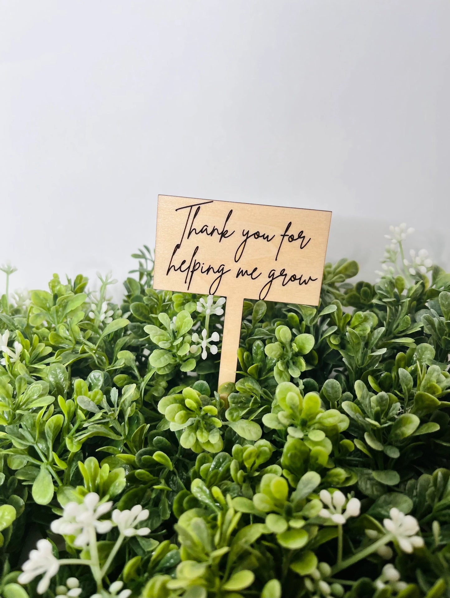 Thank you for Helping me Grow Plant Stake