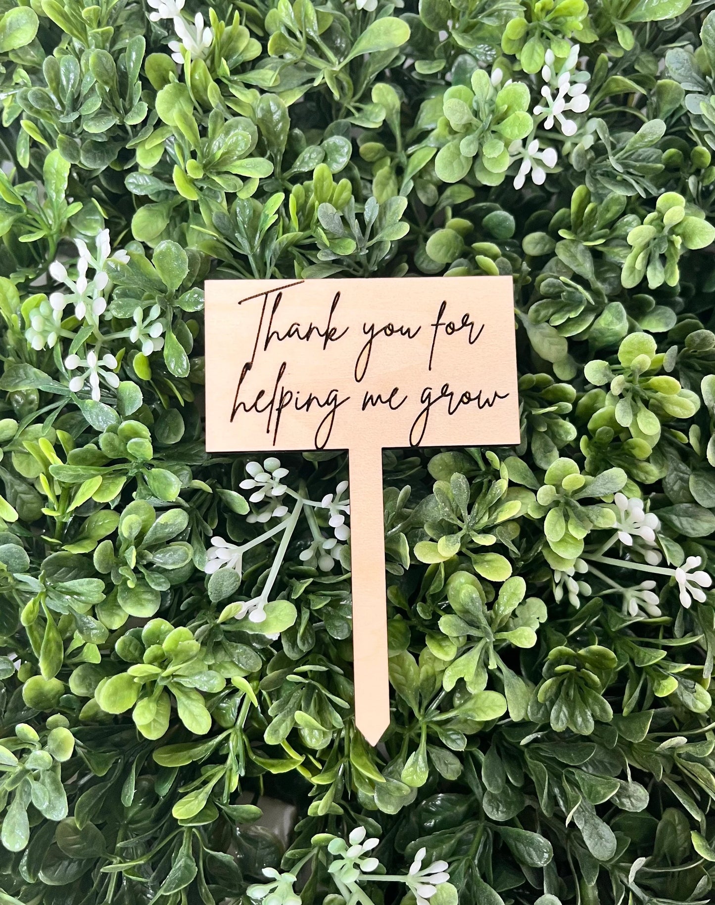 Thank you for Helping me Grow Plant Stake